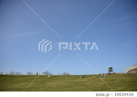 青空の公園 10020436