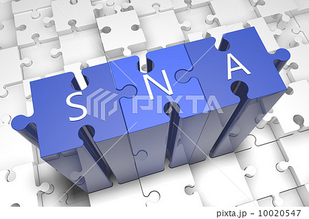 Systems Network Architecture Systems Network Architecture 10020547