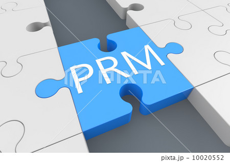 Partner Relationship Management 10020552