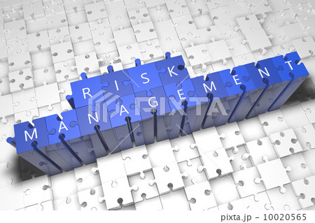 Risk Management 10020565