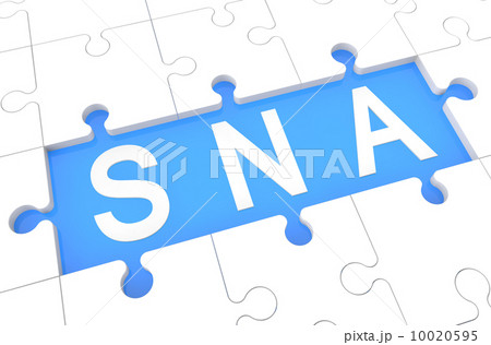 Systems Network Architecture Systems Network Architecture 10020595