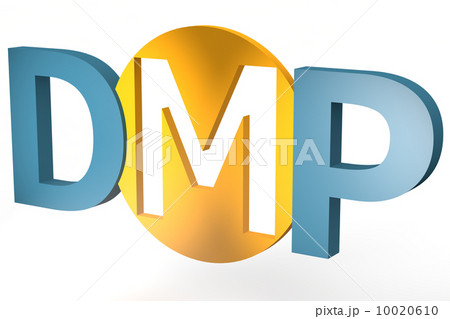 Debt Management Plan 10020610
