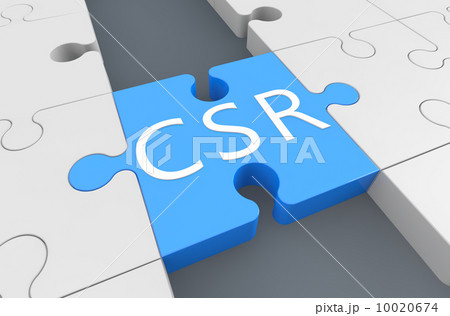 Corporate Social Responsibility Corporate Social Responsibility 10020674