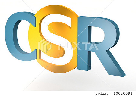 Corporate Social Responsibility 10020691