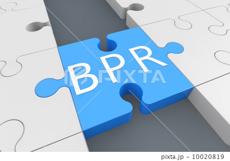 Business Process Reengineering 10020819