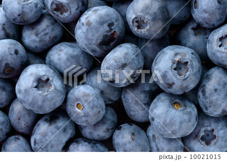 Fresh blueberries 10021015
