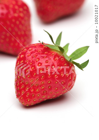Strawberry 10021017
