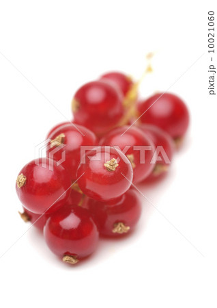Red currant 10021060