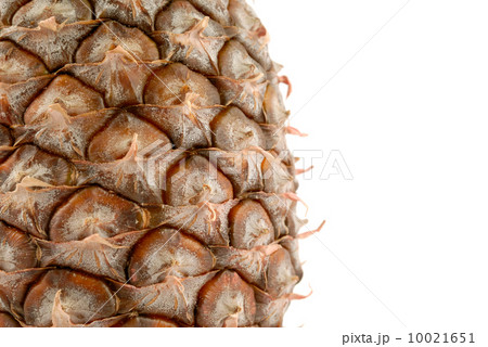 Pineapple Pineapple 10021651