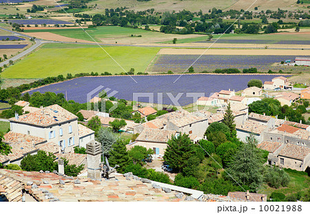 Aerial view of lavender fields in France 10021988