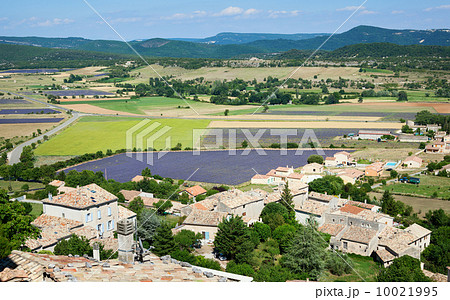 Aerial view of lavender fields in France 10021995