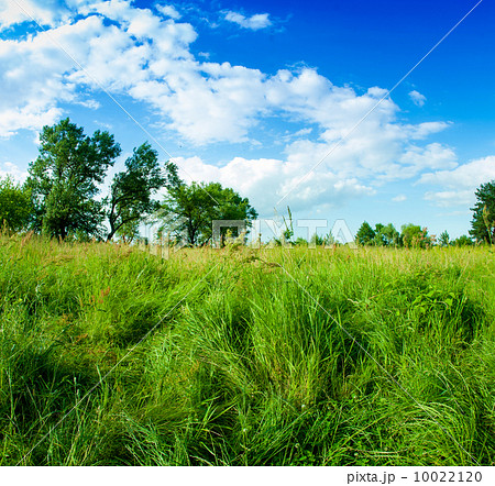 Grass and clouds on blue sky 10022120