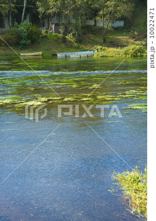 柿田川の湧き水 10022471