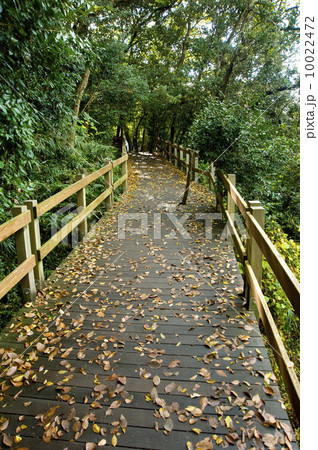 柿田川公園 10022472