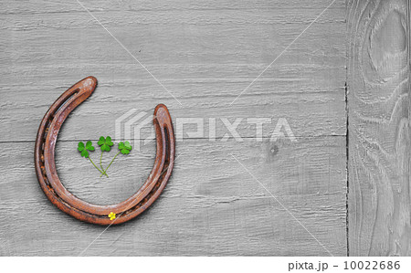 wooden background wooden background 10022686