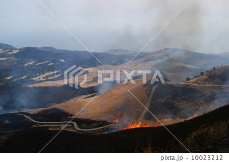 細野高原の山焼き 細野高原の山焼き 10023212