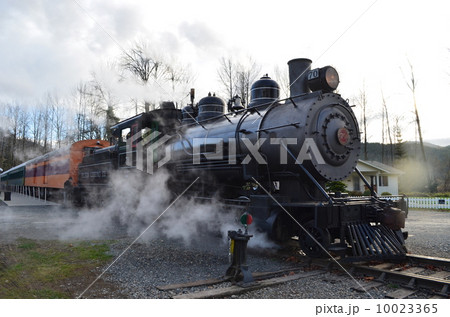Mt. rainier scenic railroad  10023365