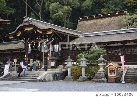 松尾大社 本殿 10023406