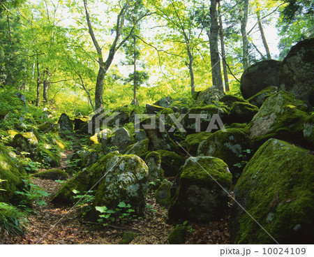 五百羅漢　遠野市 10024109