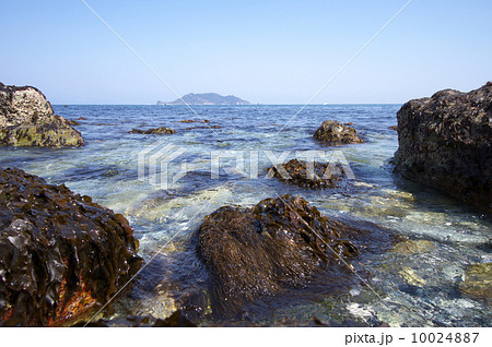 豊予海峡 豊予海峡 10024887