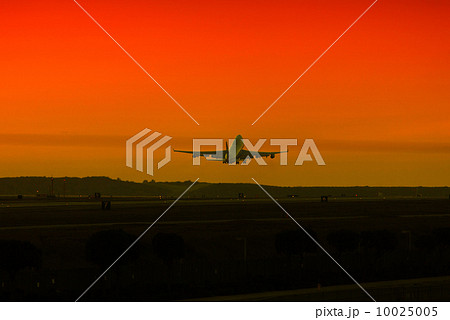 Airplane landing at sunset 10025005