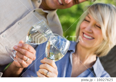 Couple toasting wine glasses Couple toasting wine glasses 10027625