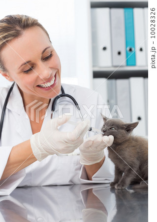 Veterinarian giving cat medicine Veterinarian giving cat medicine 10028326