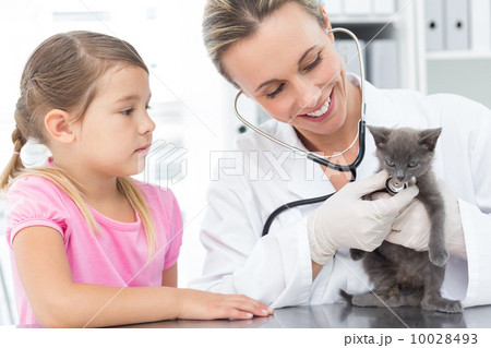 Female veterinarian examining kitten Female veterinarian examining kitten 10028493