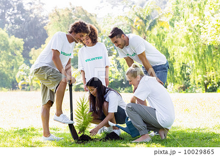 Volunteers planting in park 10029865