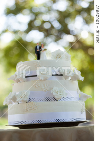 Figurine couple on wedding cake at park 10029987