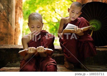Myanmar little monk reading book outside monastery 10033711