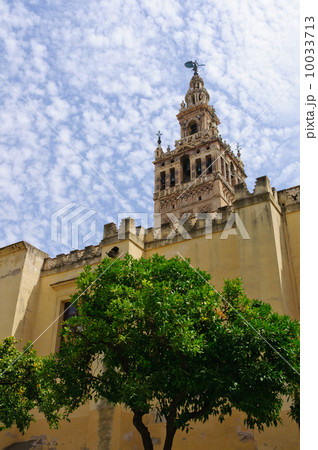 スペイン　セビリア　カテドラル 10033713