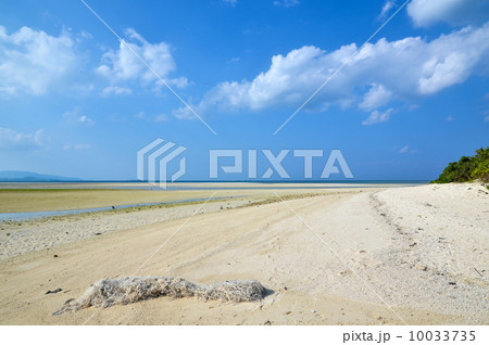 Old fishing net at beach 10033735