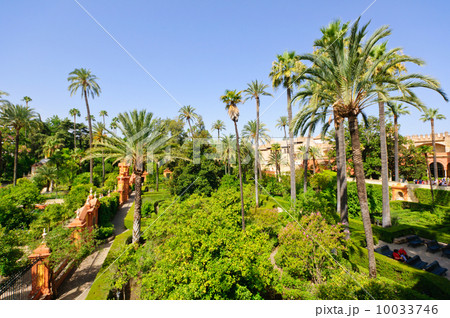 スペイン　セビリア　アルカサル 10033746