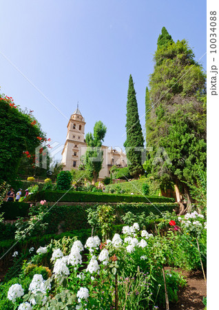 スペイン　グラナダ　アルハンブラ宮殿　ナスル朝宮殿　パルタル庭園 10034088