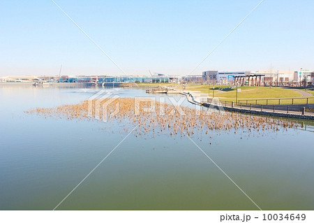 越谷レイクタウン 10034649