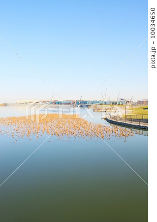 越谷レイクタウン 10034650