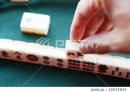 麻雀 麻雀 10035845