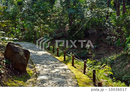小石川後楽園・木曽川に沿った延段 10036017