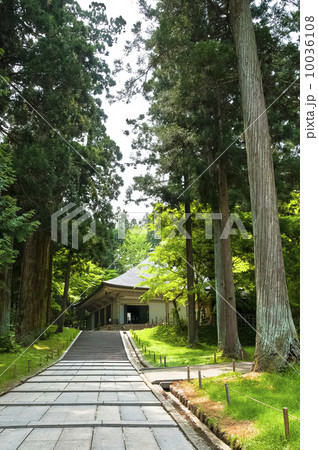 新緑の中尊寺金色堂覆堂 新緑の中尊寺金色堂覆堂 10036108
