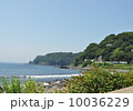 海　電車　通過 10036229