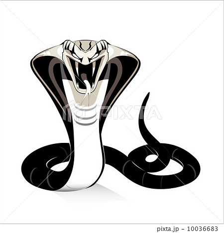 King Cobraのイラスト素材 10036683 Pixta