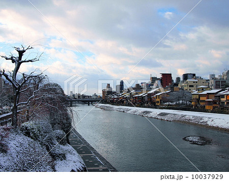 雪の鴨川 10037929