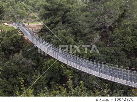 Suspension Bridge Suspension Bridge 10042870