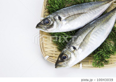 あじ あじ 10043039