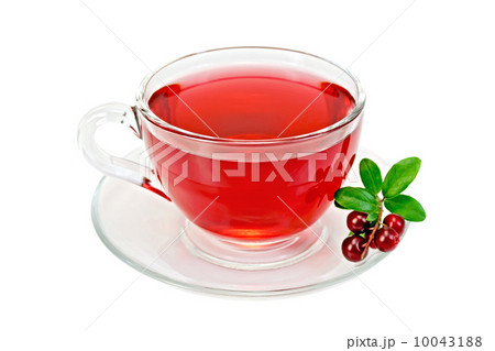 Tea with cranberries in a glass cup Tea with cranberries in a glass cup 10043188