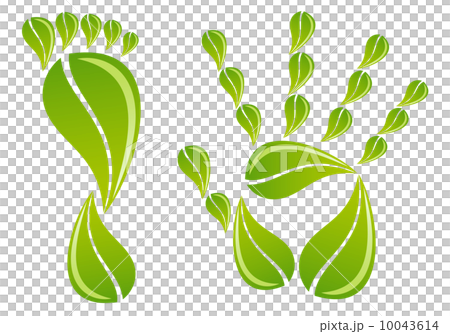 hand and foot with green leaves, vector background 10043614