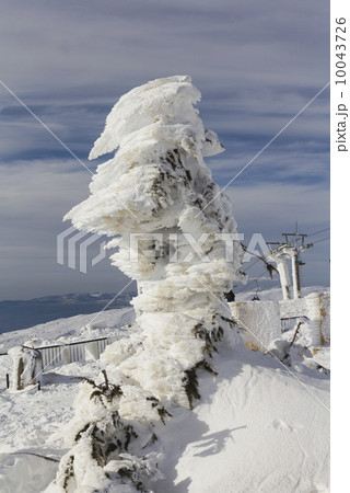 fantastic of sculpture on the mountain in the snow fantastic of sculpture on the mountain in the snow 10043726