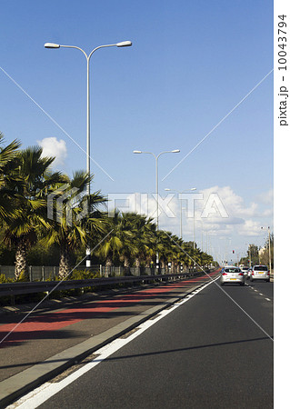 Road with palm trees Road with palm trees 10043794
