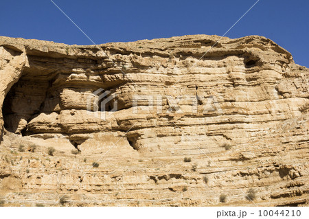 Desert canyon of Wadi Kelt 10044210